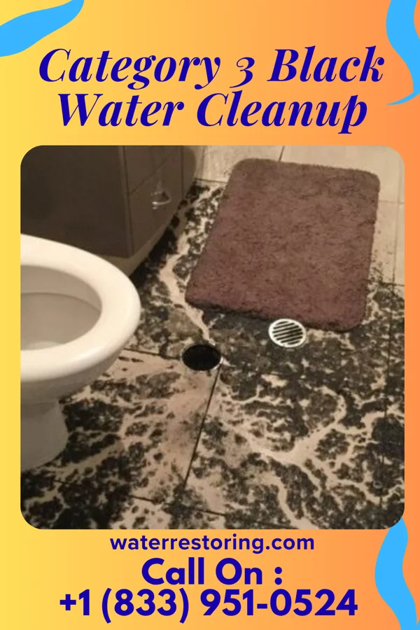 Category 3 Black Water Cleanup in Leesville, LA