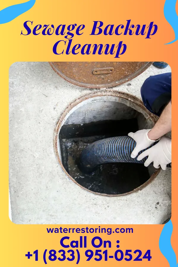 Sewage Backup Cleanup in Leesville, LA